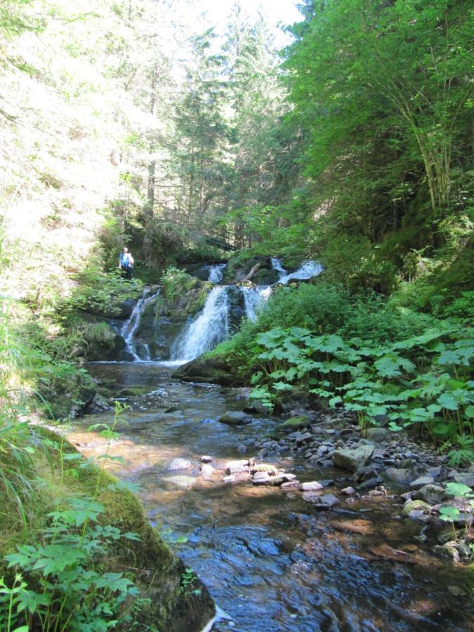 Roetenbacher Wiesen Friedenweiler Bagian luar foto